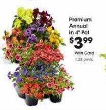 Fred Meyer Premium Annual In 4 offer