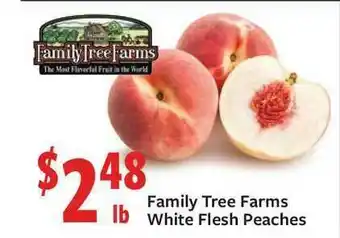 Family Tree Farms White Flesh Peaches