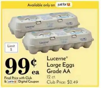 Pavilions Ucerne Large Eggs Grade Aa offer