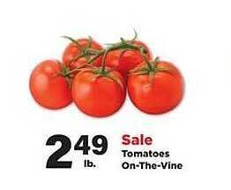 Stater Bros Tomatoes On-the-vine offer
