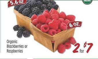 Sprouts Farmers Market Organic Blackberries Or Raspberries offer