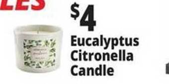 Ocean State Job Lot Eucalyptus Citronella Candle offer