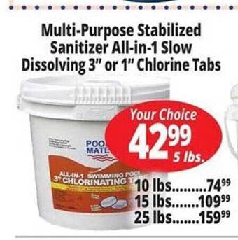 Ocean State Job Lot Multi-purpose Stabilized Sanitizer All-in-1 Slow Dissolving 3 offer