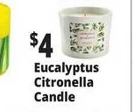 Ocean State Job Lot Eucalyptus Citronella Candle offer