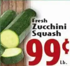 Zucchini Squash