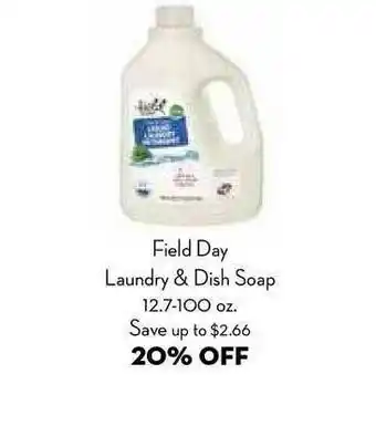 Field Day Laundry & Dish Soap 20% Off