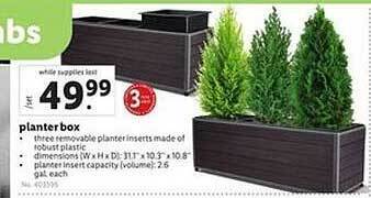 Lidl Planter Box offer