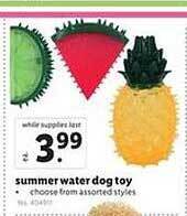 Lidl Summer Water Dog Toy offer