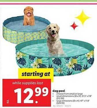Lidl Dog Pool offer