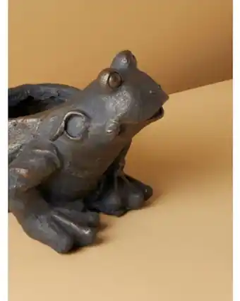 Home Goods 13in frog shaped planter offer