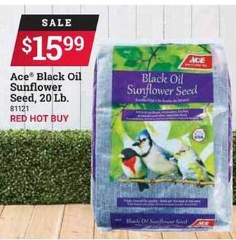 Ace Hardware Ace Black Oil Sunflower Seed 20 Lb. offer