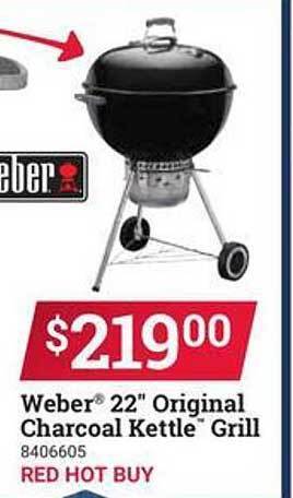 Ace Hardware Weber 22 offer