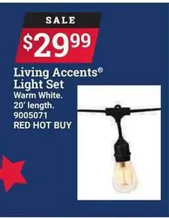 Ace Hardware Living Accents Light Set offer
