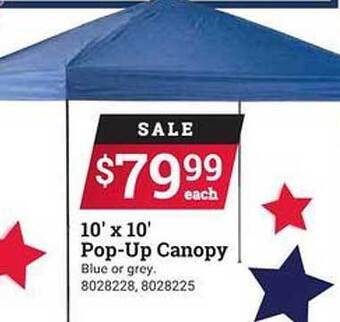 Ace Hardware Pop-up Canopy offer