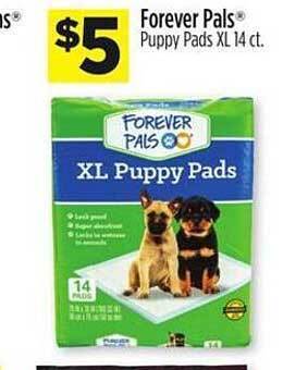 Dollar General Forever Pals offer