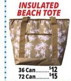 Ocean State Job Lot Insulated Beach Tote offer