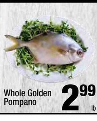 Super King Markets Whole Golden Pompano offer