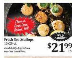 Rosauers Fresh Sea Scallops offer