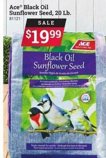 Ace Hardware Ace Black Oil Sunflower Seed offer