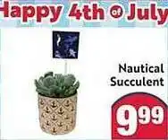 Lucky Supermarkets Nautical Succulent offer