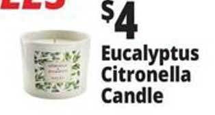 Ocean State Job Lot Eucalyptus Citronella Candle offer