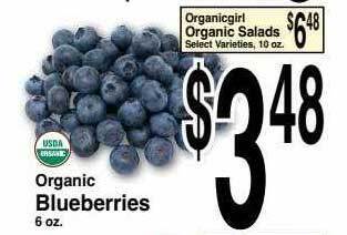 Super Saver Organic Blueberries offer
