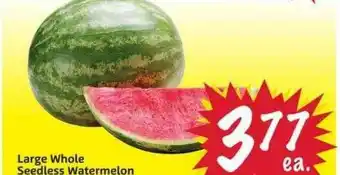 Foodmaxx Large Whole Seedless Watermelon offer