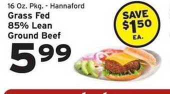 Hannaford Grass Fed 85% Lean Ground Beef offer