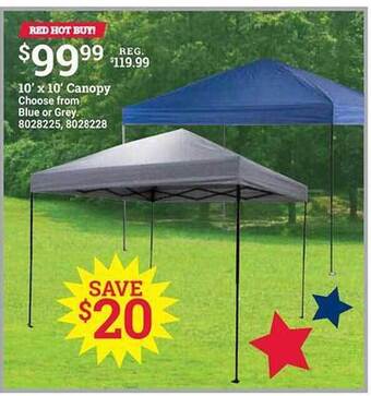 Ace Hardware 10' X 10' Canopy offer