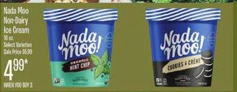 Jewel-Osco Nada Moo Non-Dairy Ice Cream offer