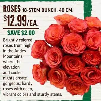 Central Market Roses offer