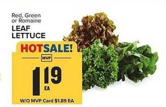 Food Lion Leaf Lettuce offer