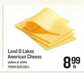 Lowes Foods Land O Lakes American Cheese offer