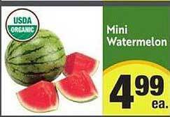 Mini Watermelon