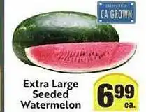 Extra Large Seeded Watermelon