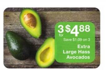 Fairway Store Market Extra Large Hass Avocados offer