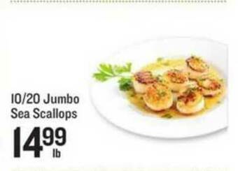 Lowes Foods 10 20 Jumbo Sea Scallops offer