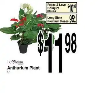 Super Saver Anthurium Plant , Peace & Love Bouquet , Long Stem Premium Roses offer