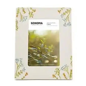 Kohl's Sonoma goods for life® embossed floral 4" x 6" frame table decor offer