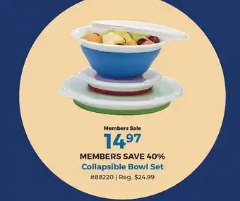 Camping World Collapsible Bowl Set offer