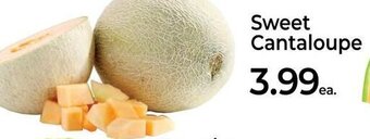 Roche Bros Sweet Cantaloupe offer