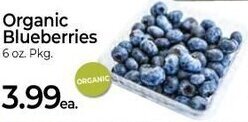 Roche Bros Organic Blueberries 6 oz. offer