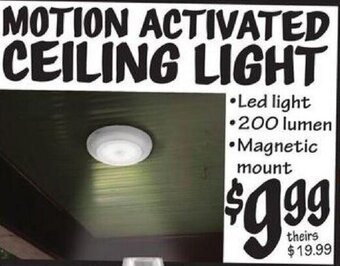 Ollie's Motion Activated Ceiling Light offer