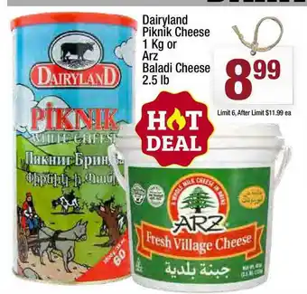 Super King Markets Dairyland Piknik Cheese Or Arz Baladi Cheese offer