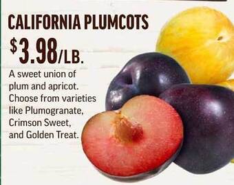 Central Market California Plumcots offer
