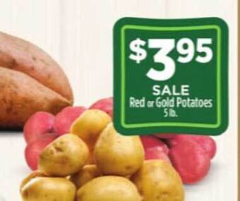 Dollar General Red Or Gold Potatoes offer