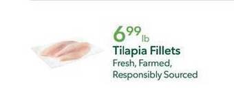 Publix Tilapia Fillets offer