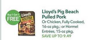 Publix Lloyd's Pig Beach Pulled Pork offer