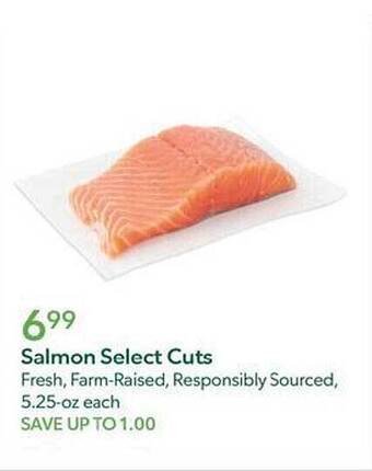 Publix Salmon Select Cuts offer