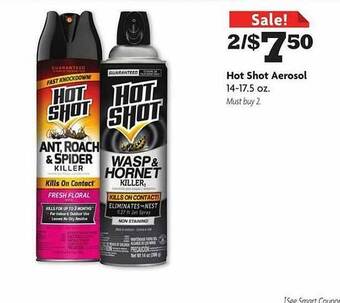 Family Dollar Hot Shot Aerosol offer